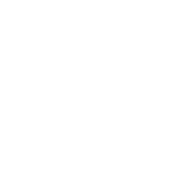 Logo for The Valour