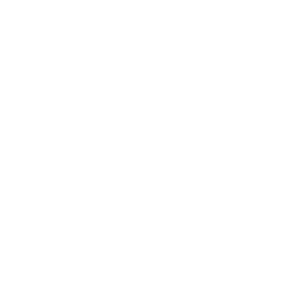 Logo for Virgin Active